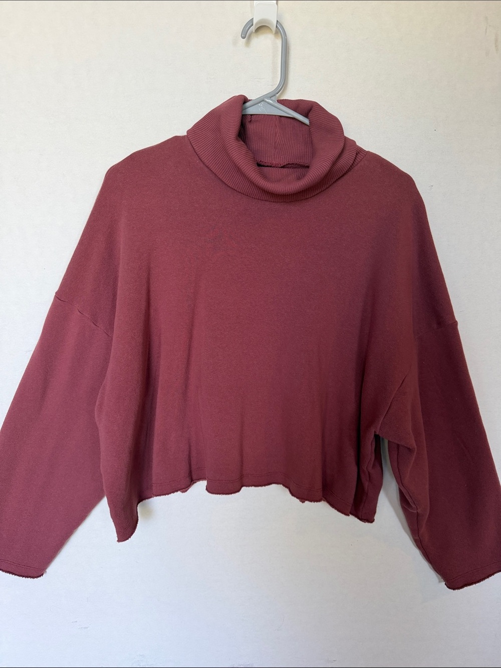 American Eagle Turtleneck Cropped Sweatshirt